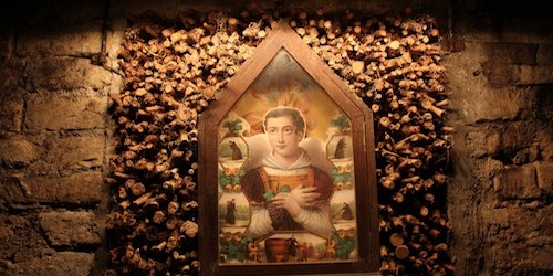 We celebrate every 22nd of January, the Festivity of San Vicente, ¨Patron¨ of Vine-growers of the world. Vicente was one of the last martyrs of the Roman epoch, and therefore one of the most known saints of the Christianity. His life is not so known as his Hispanic origin. Vicente...