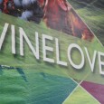 Wine Defender TV is Live Streaming from Vinitaly 2012, Umbria is #Winelovers, Pad 7B. This is the starting panel: Why #winelover?: A seminar/discussion with among others Debra Meiburg MW, Andre Riberinho and Filippo Ronco about what a winelover is, our community and what we stand for. Join Us! This is...